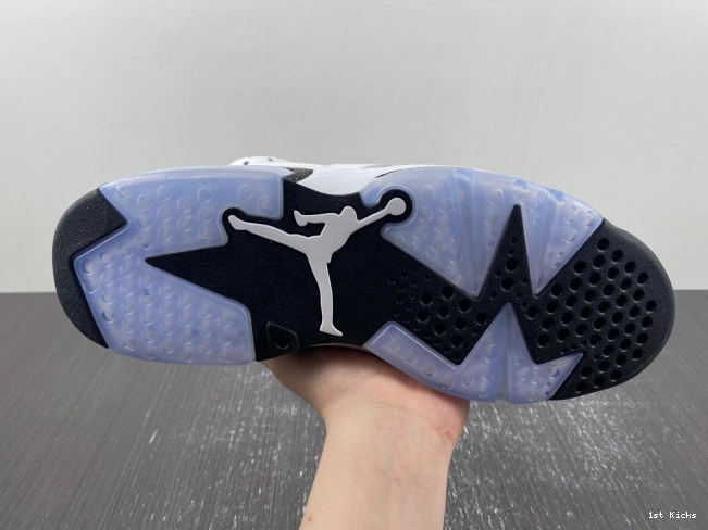 Air 6 Jordan CT8529-112 Oreo Reverse 0603